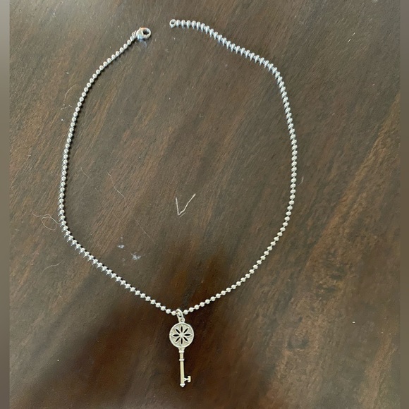 Tiffany Co Diamond Flower Necklace Nature Daisy Key Pendant Chain with 0.01 CTW - Picture 4 of 8